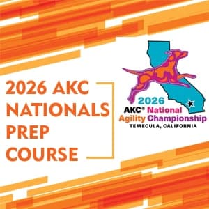 d2b2f0c4-cb20-4e3d-8038-61ace8ae464b