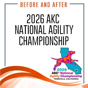 att.WSl0CoV4gSxG0uFls__-3o84UKfwc-_n9z2AuxNyjyg